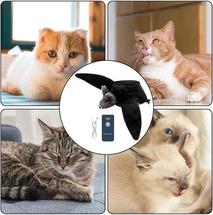 BatChase™ — Interactive Flapping Dog Toy