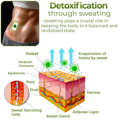 CC™ Perfect Detox Slimming Patch